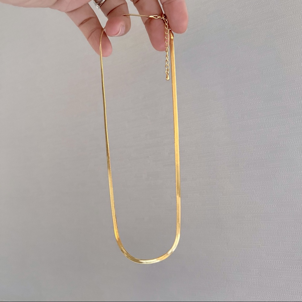 Flat Snake Chain Necklace/Chocker